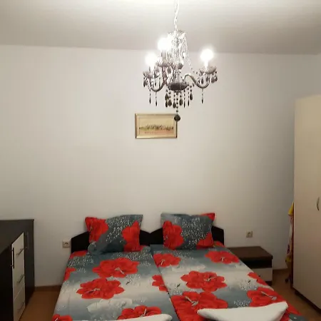 Aphrodite Rose סאני ביץ'